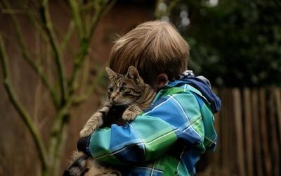 image for International Hug Your Cat Day
